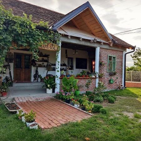 Amanet House Zasavica Apartment ภายนอก รูปภาพ