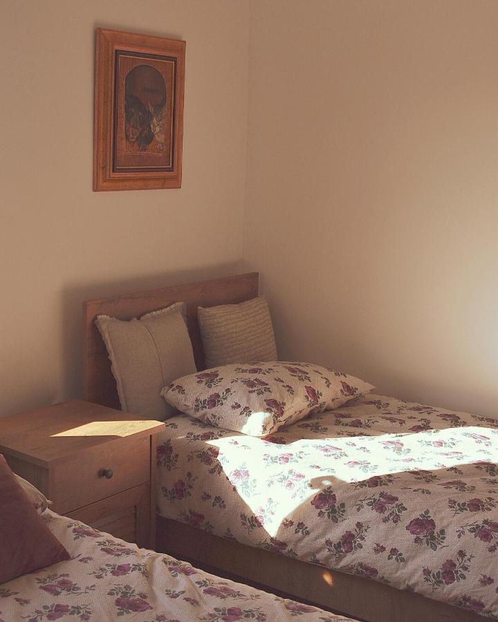 Amanet House Zasavica Apartment ภายนอก รูปภาพ