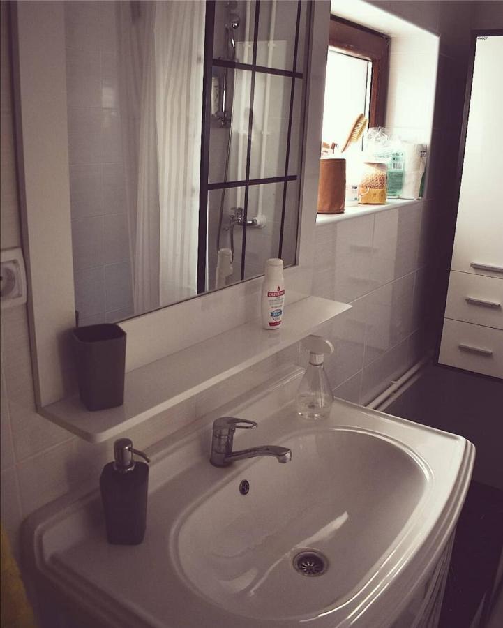 Amanet House Zasavica Apartment ภายนอก รูปภาพ