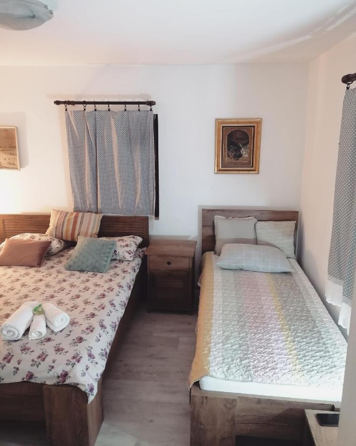Amanet House Zasavica Apartment ภายนอก รูปภาพ