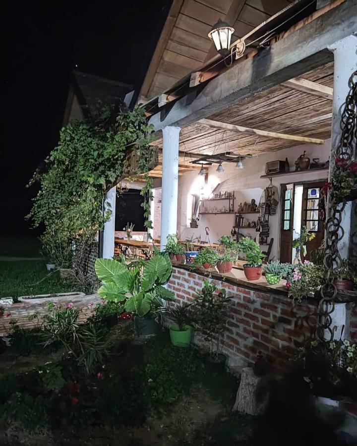 Amanet House Zasavica Apartment ภายนอก รูปภาพ
