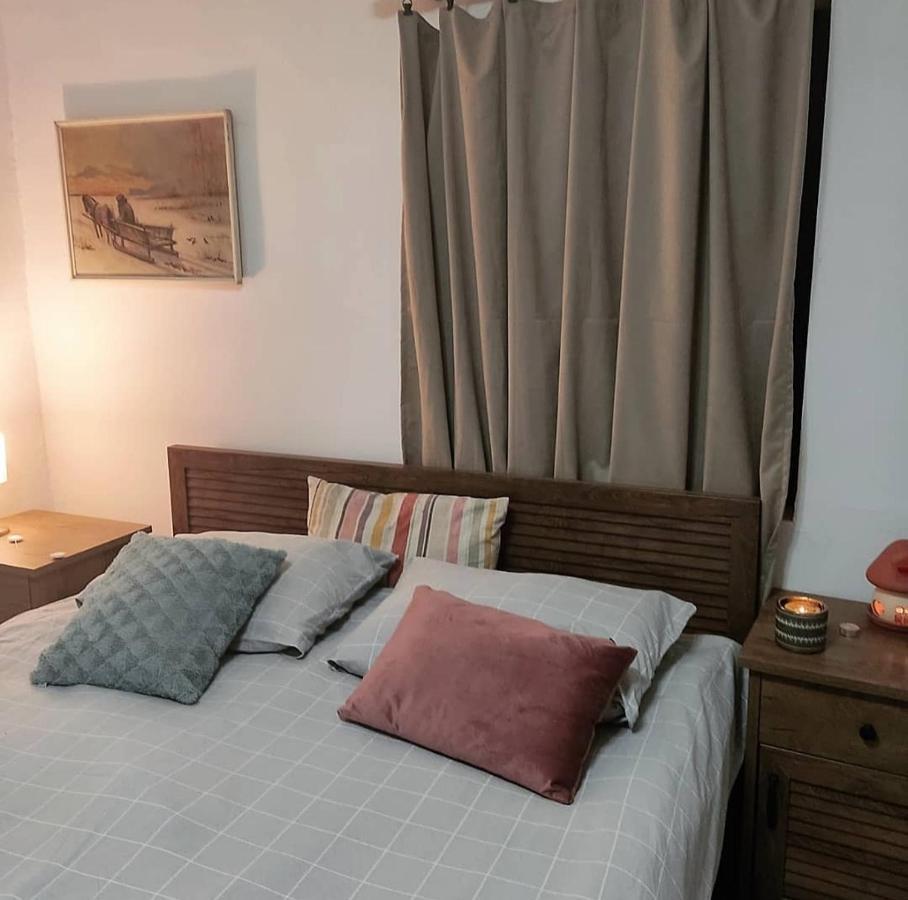 Amanet House Zasavica Apartment ภายนอก รูปภาพ