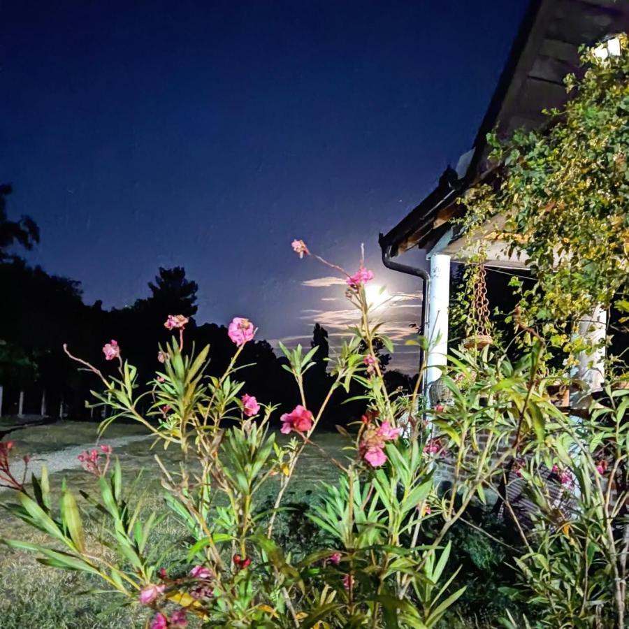 Amanet House Zasavica Apartment ภายนอก รูปภาพ